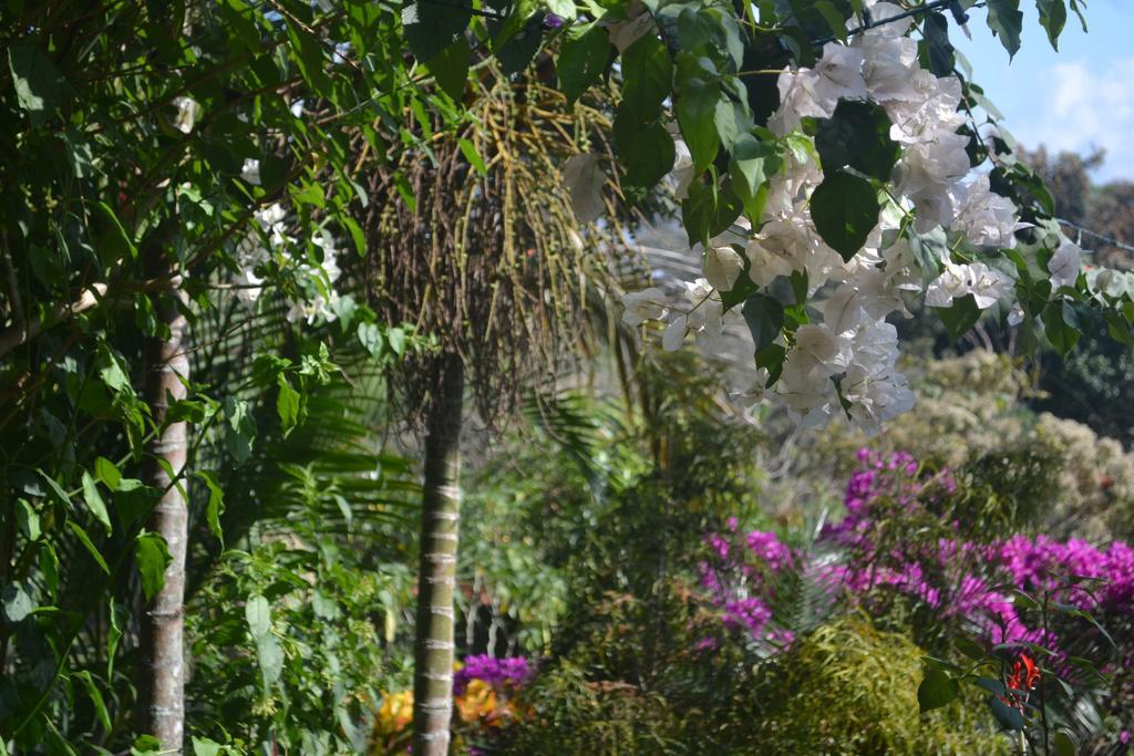 Eden Atenas Costa Rica Exterior photo