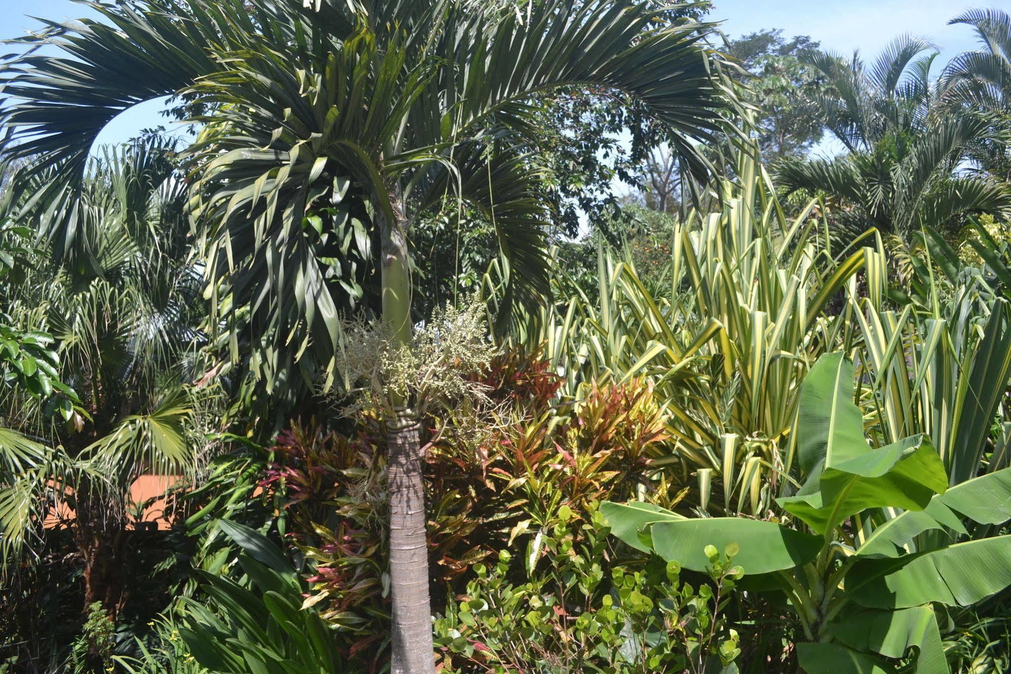 Eden Atenas Costa Rica Exterior photo