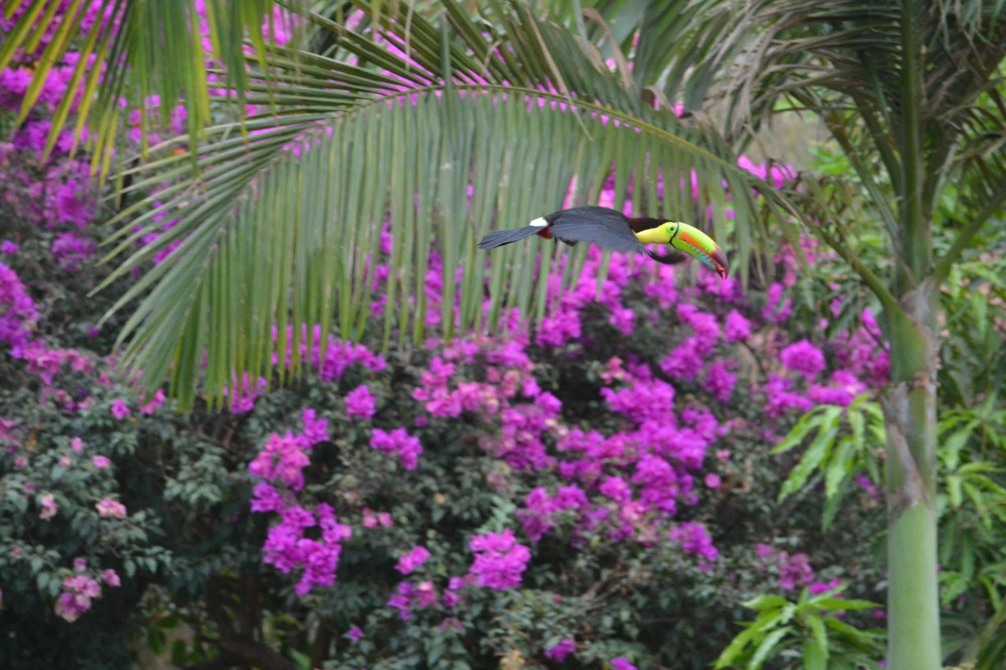 Eden Atenas Costa Rica Exterior photo
