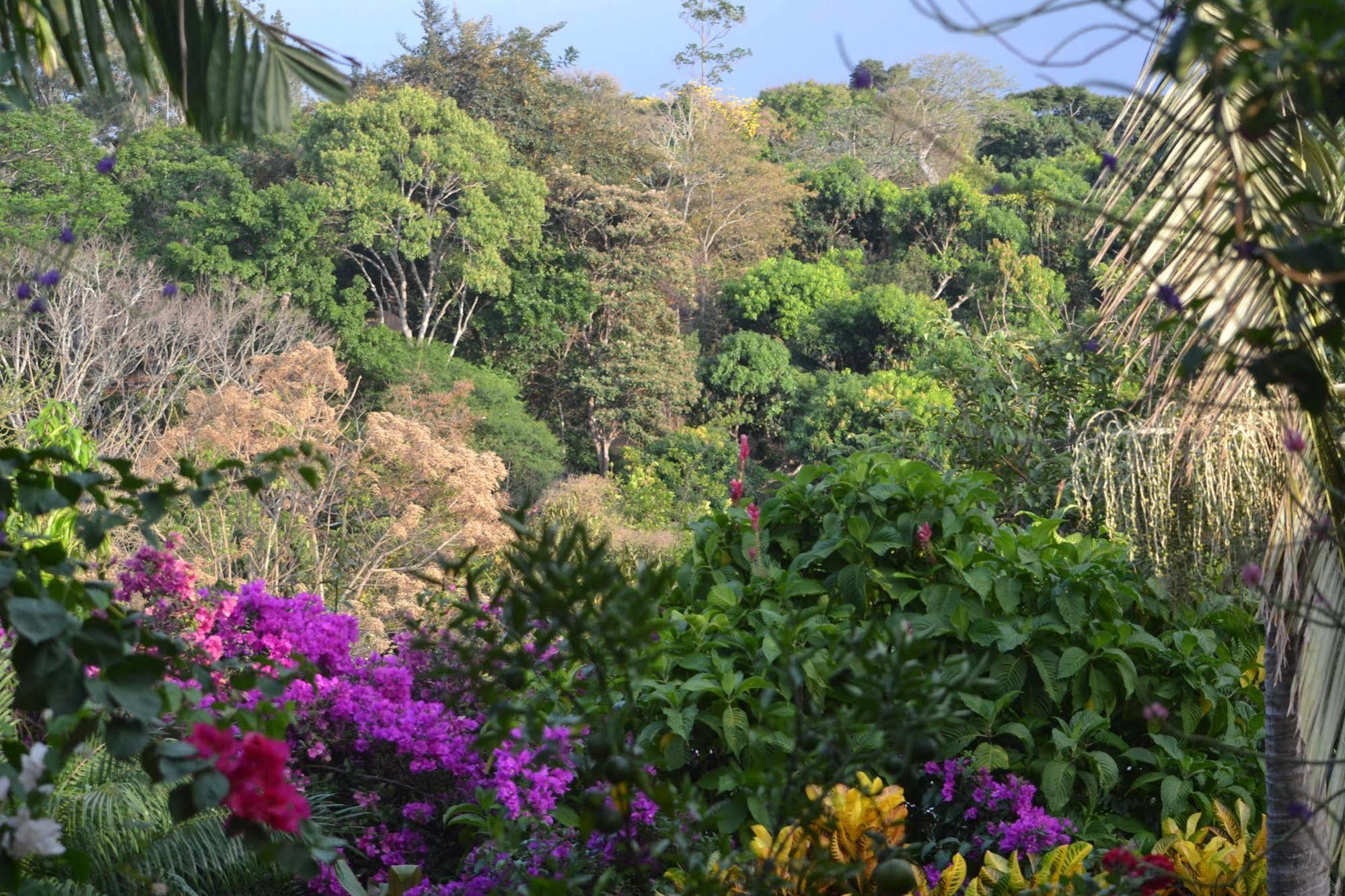 Eden Atenas Costa Rica Exterior photo